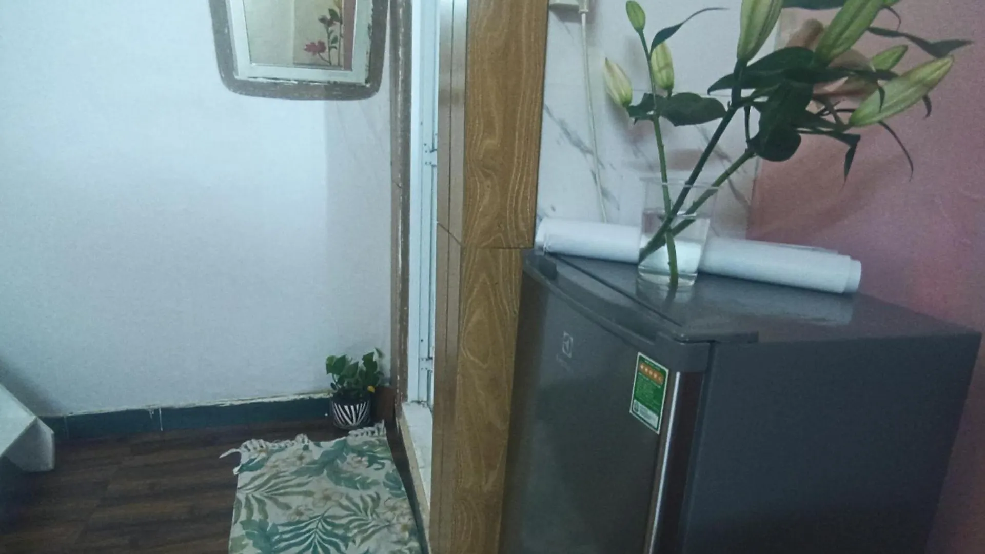 137 Lily'S Private Homestay In City Center Ho Chi Minh City 0*,